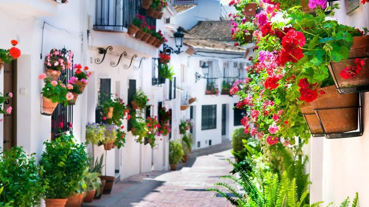 Casa Marin contacts